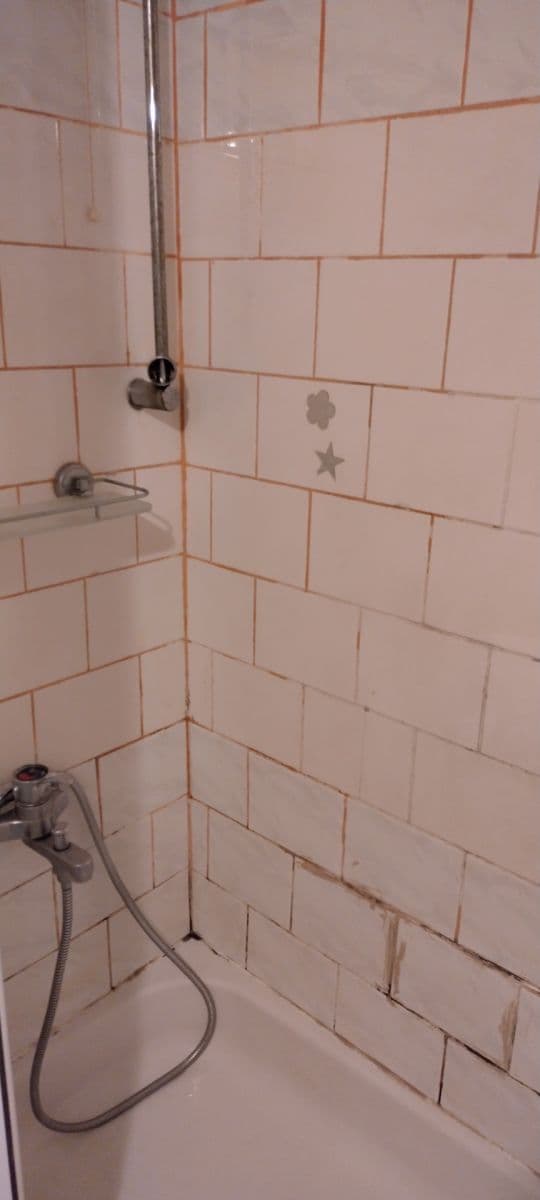 1 bedroom with open-plan kitchen flat for sale, 42 m², Mendelova, Prague, Prague 1 bedroom with open-plan kitchen flat for sale, 42 m², Mendelova, Prague, Prague