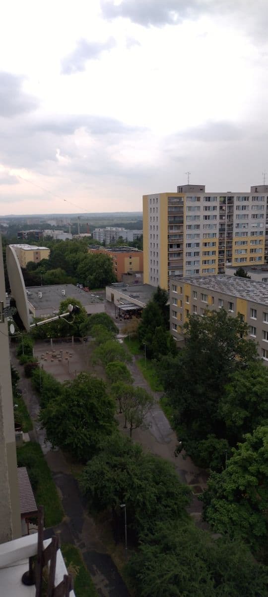 1 bedroom with open-plan kitchen flat for sale, 42 m², Mendelova, Prague, Prague 1 bedroom with open-plan kitchen flat for sale, 42 m², Mendelova, Prague, Prague