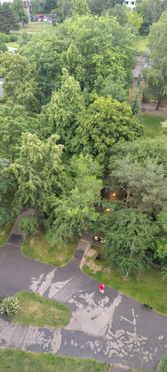 1 bedroom with open-plan kitchen flat for sale, 42 m², Mendelova, Prague, Prague 1 bedroom with open-plan kitchen flat for sale, 42 m², Mendelova, Prague, Prague