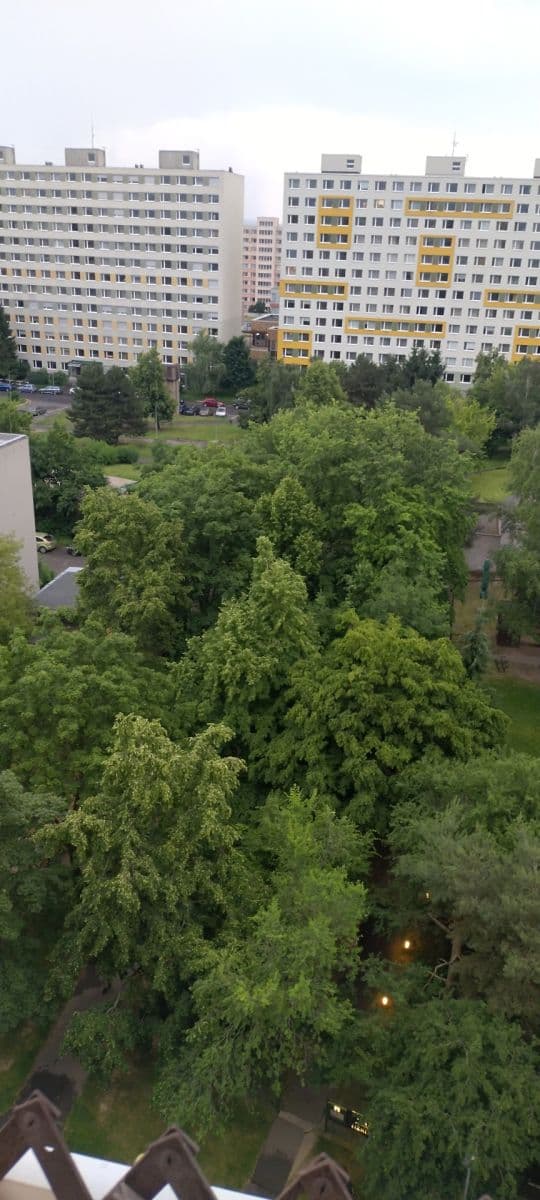 1 bedroom with open-plan kitchen flat for sale, 42 m², Mendelova, Prague, Prague 1 bedroom with open-plan kitchen flat for sale, 42 m², Mendelova, Prague, Prague