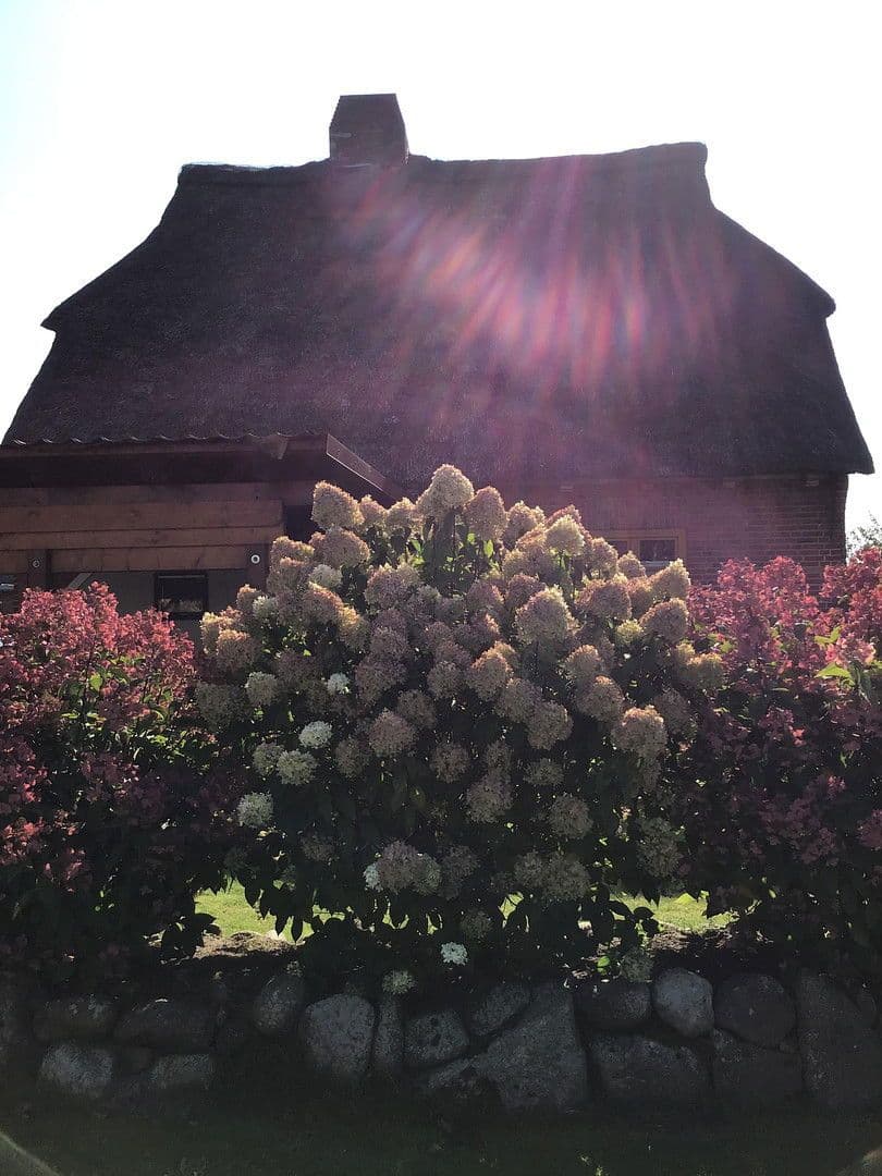 house for sale, 130 m², Heinkenborstel, Schleswig-Holstein house for sale, 130 m², Heinkenborstel, Schleswig-Holstein