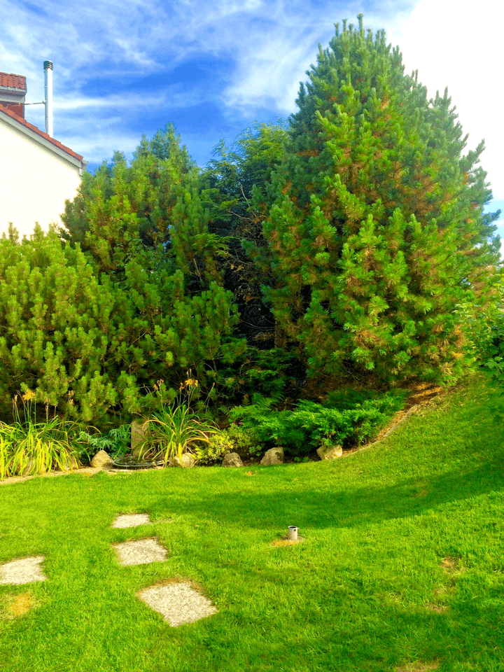 house for sale, 360 m², Schluchsee, Baden-Württemberg house for sale, 360 m², Schluchsee, Baden-Württemberg