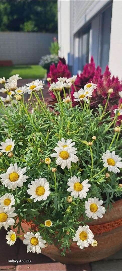 house for sale, 125 m², Augsburg, Bavaria house for sale, 125 m², Augsburg, Bavaria