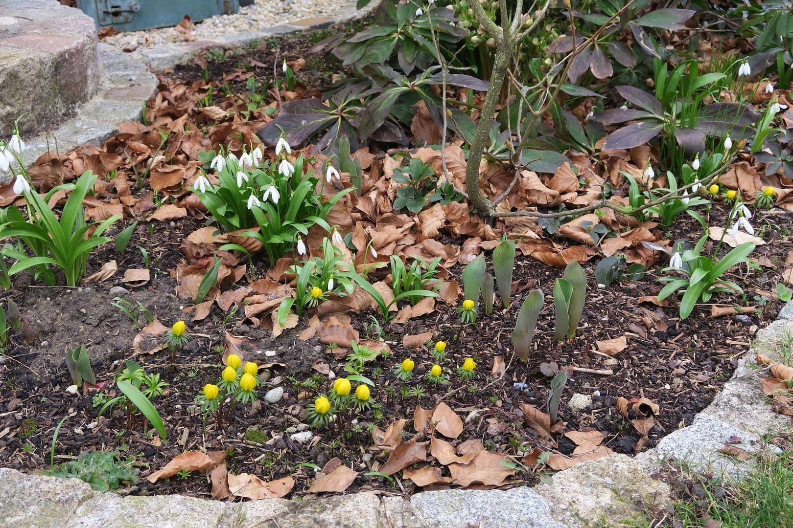 house for sale, 155 m², Althegnenberg, Bavaria house for sale, 155 m², Althegnenberg, Bavaria