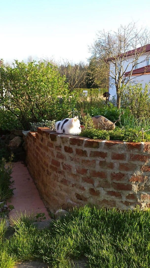 house for sale, 155 m², Althegnenberg, Bavaria house for sale, 155 m², Althegnenberg, Bavaria