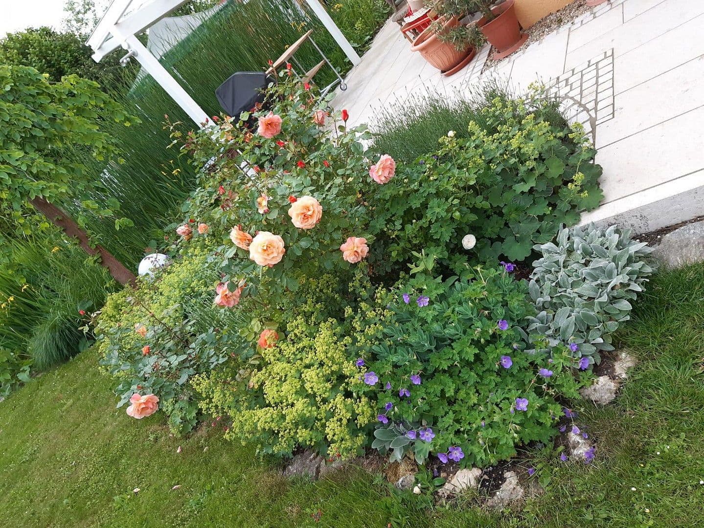 house for sale, 155 m², Althegnenberg, Bavaria house for sale, 155 m², Althegnenberg, Bavaria