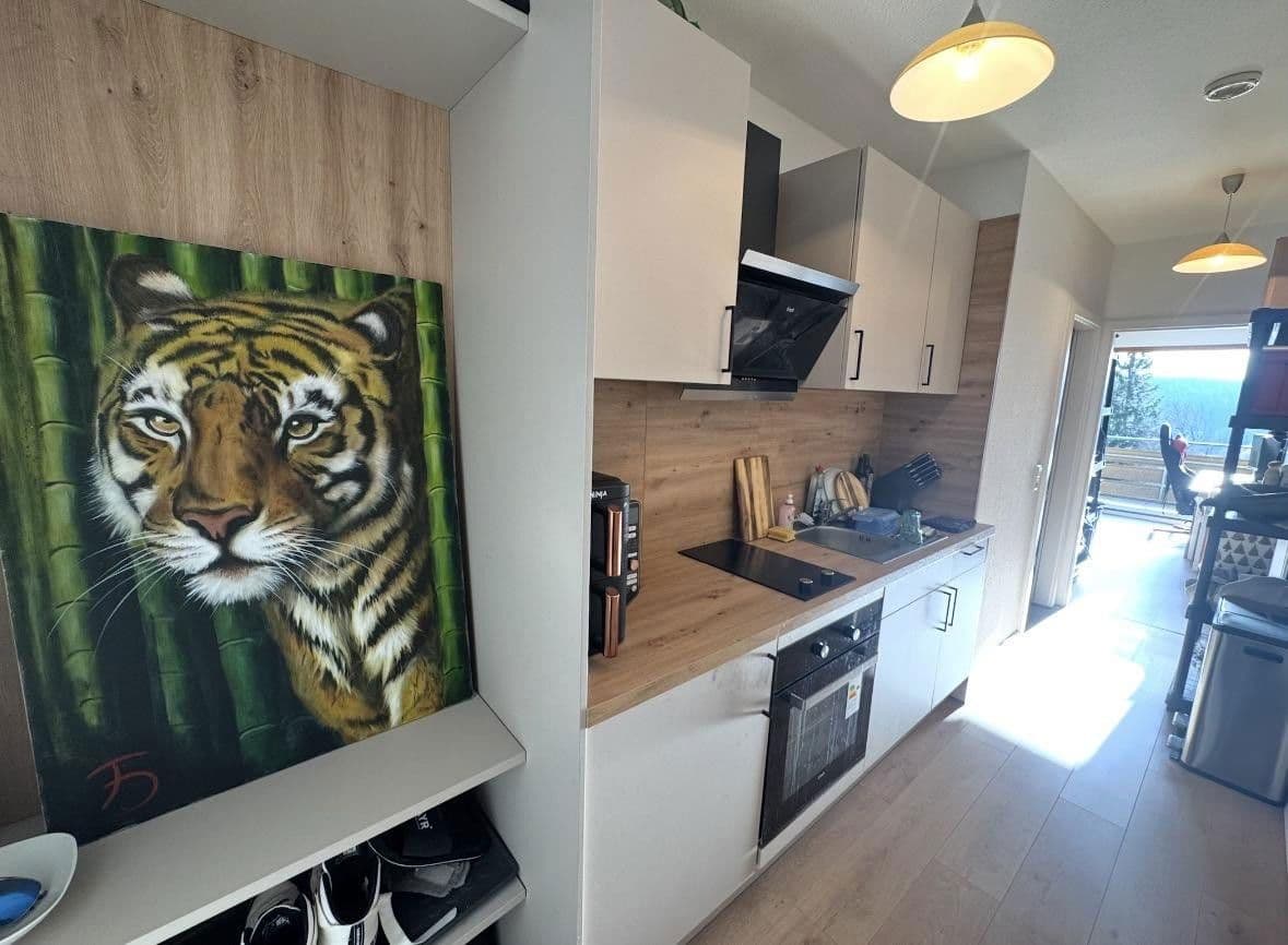 1 bedroom flat to rent, 36 m², Am Wald 19, Unterkirnach, Baden-Württemberg 1 bedroom flat to rent, 36 m², Am Wald 19, Unterkirnach, Baden-Württemberg