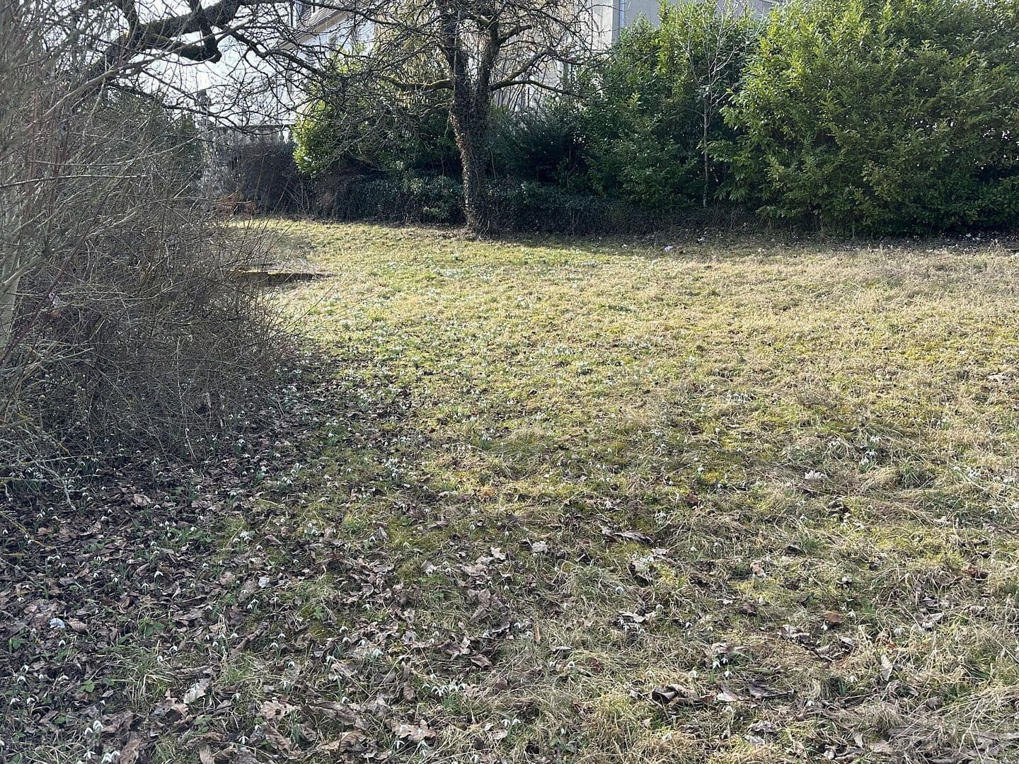 plot for sale, 2,364 m², Von-der-Gabelentz-Straße 5, Lemnitz, Thuringia plot for sale, 2,364 m², Von-der-Gabelentz-Straße 5, Lemnitz, Thuringia