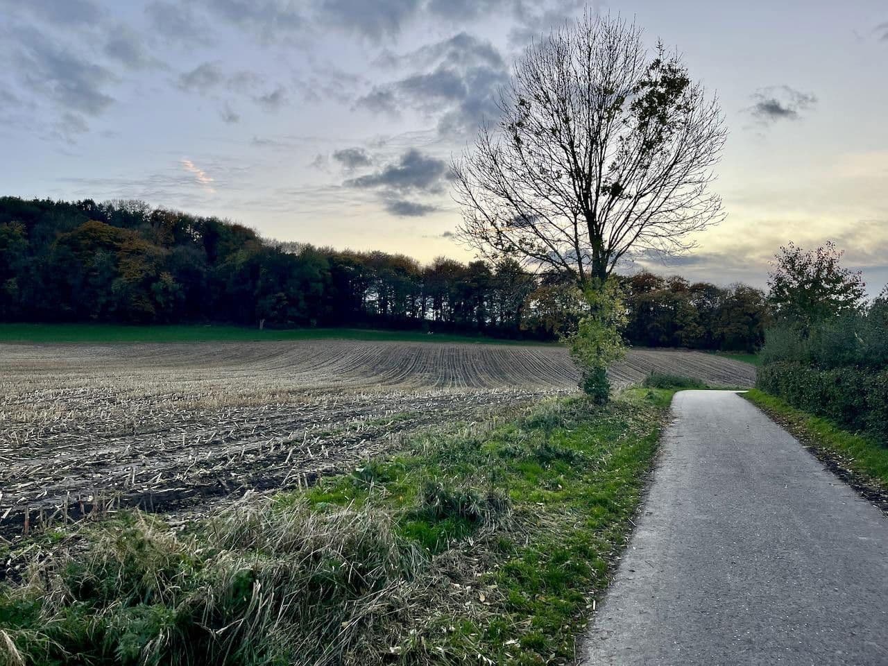 house for sale, 243 m², Am Neuenhof 7, Aachen, North Rhine-Westphalia house for sale, 243 m², Am Neuenhof 7, Aachen, North Rhine-Westphalia