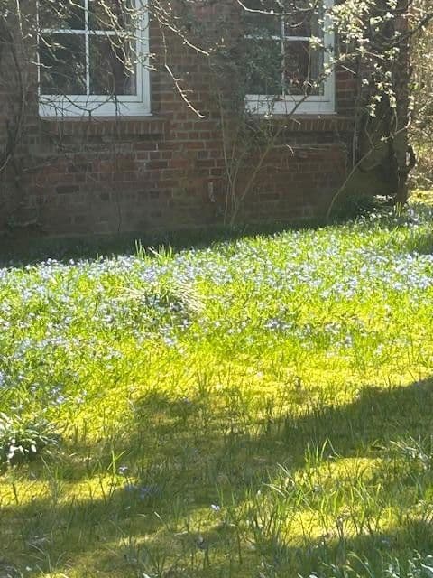 plot for sale, 11,148 m², Bark, Schleswig-Holstein plot for sale, 11,148 m², Bark, Schleswig-Holstein