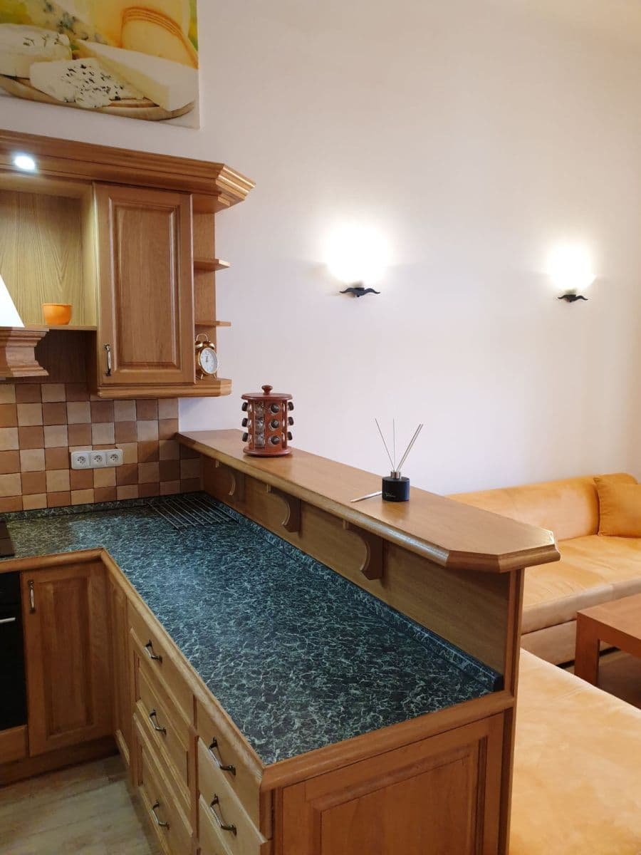 1 bedroom with open-plan kitchen flat to rent, 53 m², Arbesovo náměstí, Prague, Prague 1 bedroom with open-plan kitchen flat to rent, 53 m², Arbesovo náměstí, Prague, Prague