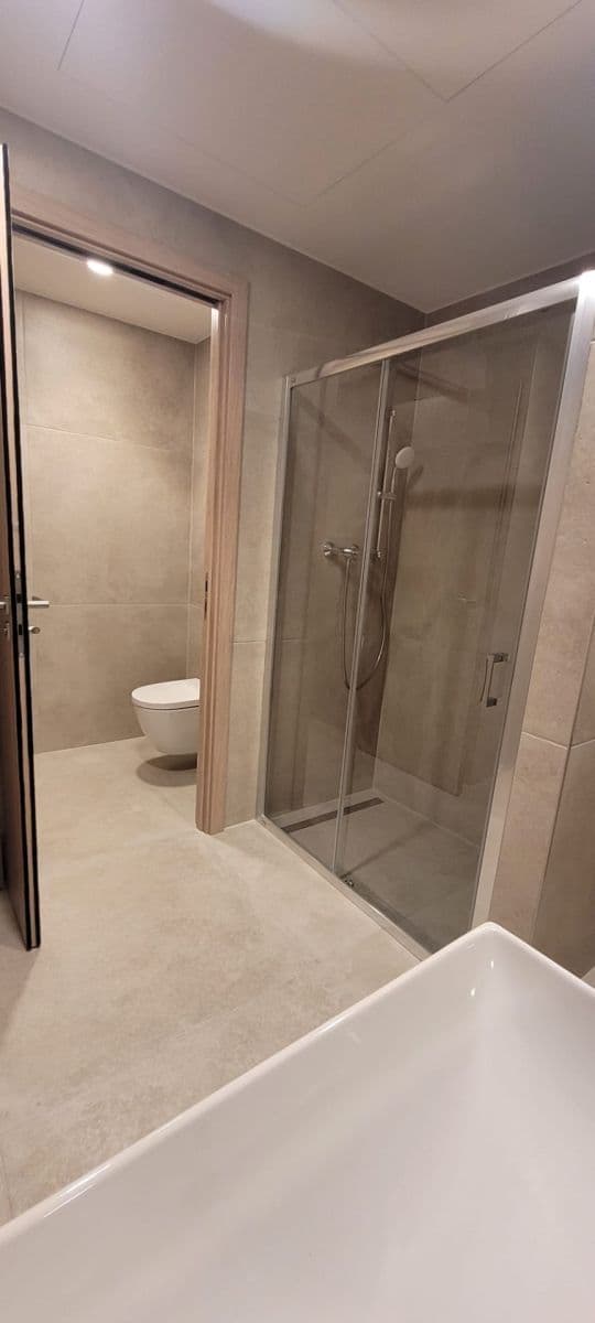 1 bedroom with open-plan kitchen flat to rent, 56 m², Poděbradská, Prague, Prague 1 bedroom with open-plan kitchen flat to rent, 56 m², Poděbradská, Prague, Prague