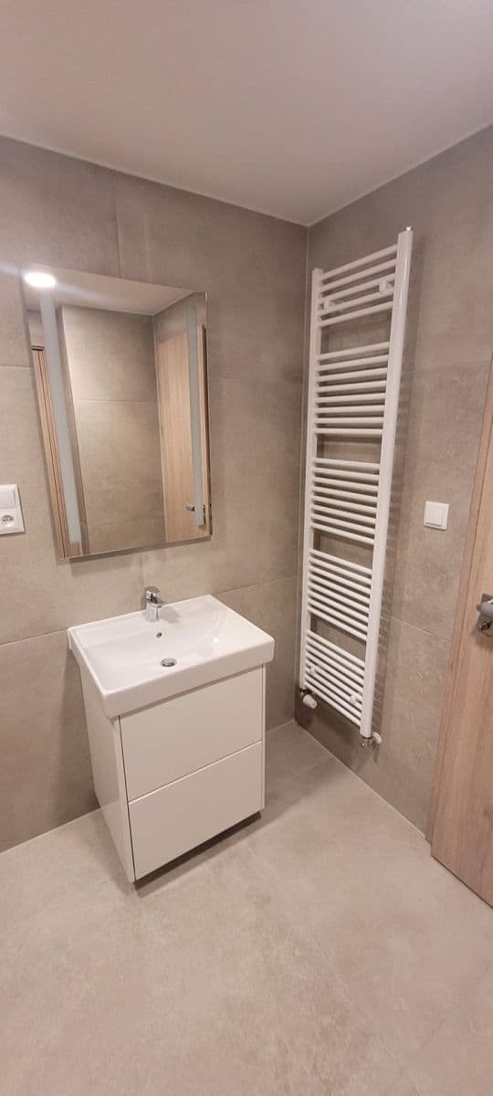 1 bedroom with open-plan kitchen flat to rent, 56 m², Poděbradská, Prague, Prague 1 bedroom with open-plan kitchen flat to rent, 56 m², Poděbradská, Prague, Prague