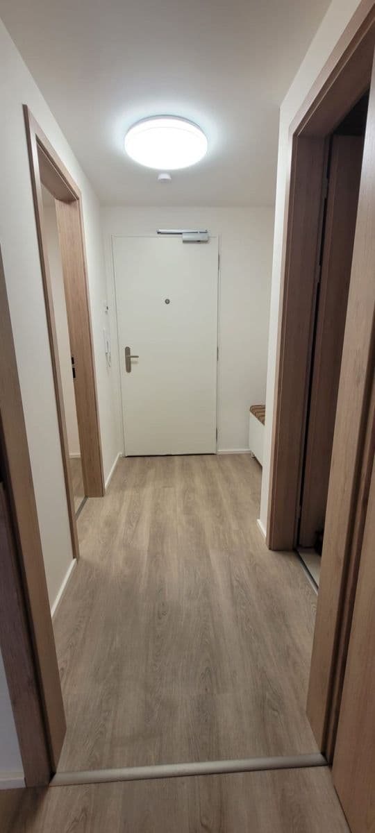 1 bedroom with open-plan kitchen flat to rent, 56 m², Poděbradská, Prague, Prague 1 bedroom with open-plan kitchen flat to rent, 56 m², Poděbradská, Prague, Prague