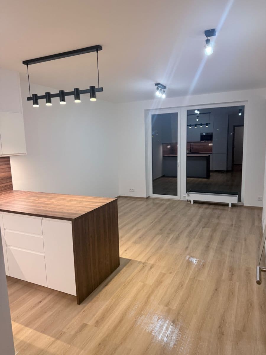 1 bedroom with open-plan kitchen flat to rent, 55 m², Jižní, Brno, Jihomoravský Region 1 bedroom with open-plan kitchen flat to rent, 55 m², Jižní, Brno, Jihomoravský Region