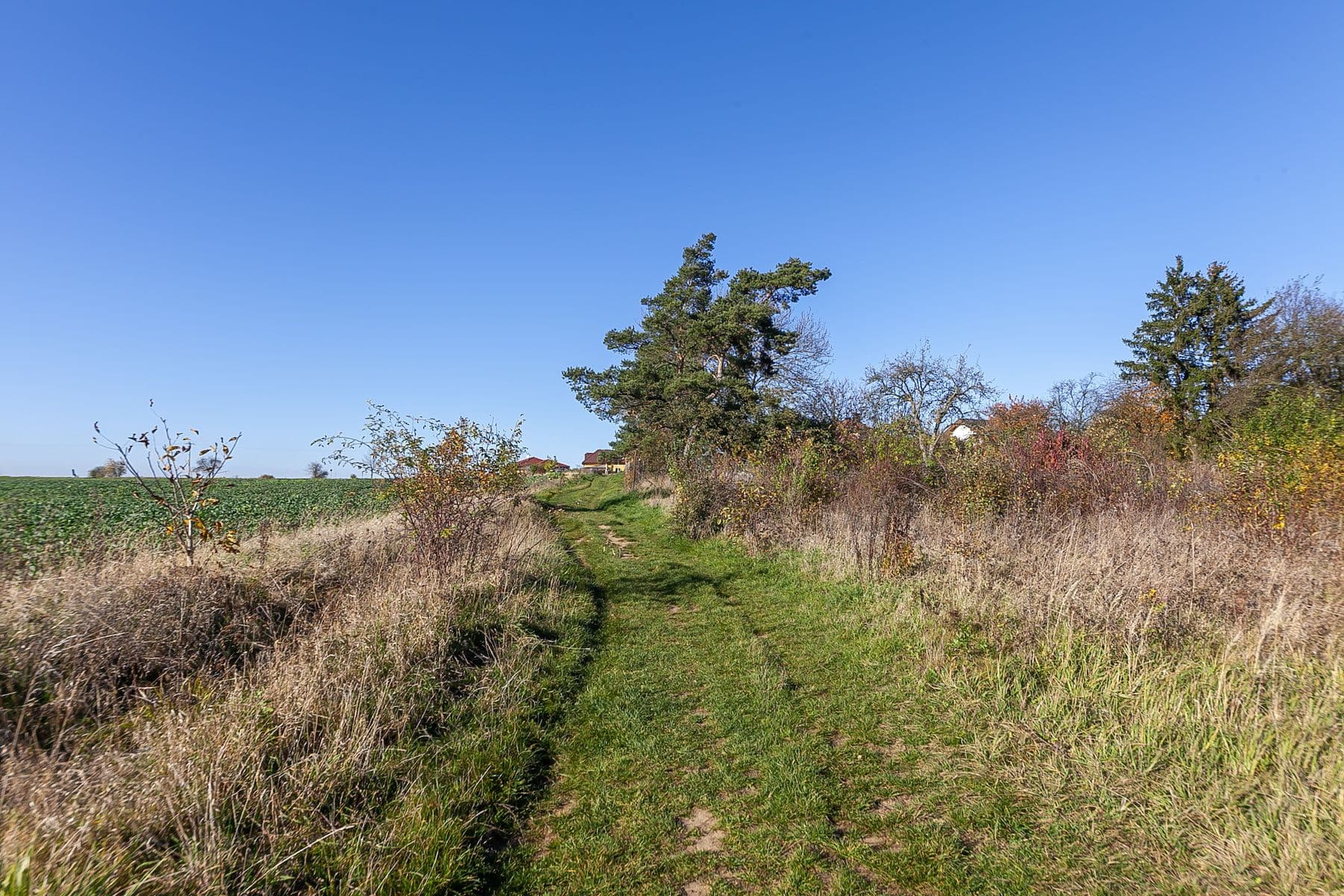 plot for sale, 935 m², Dobříč, Plzeňský Region plot for sale, 935 m², Dobříč, Plzeňský Region