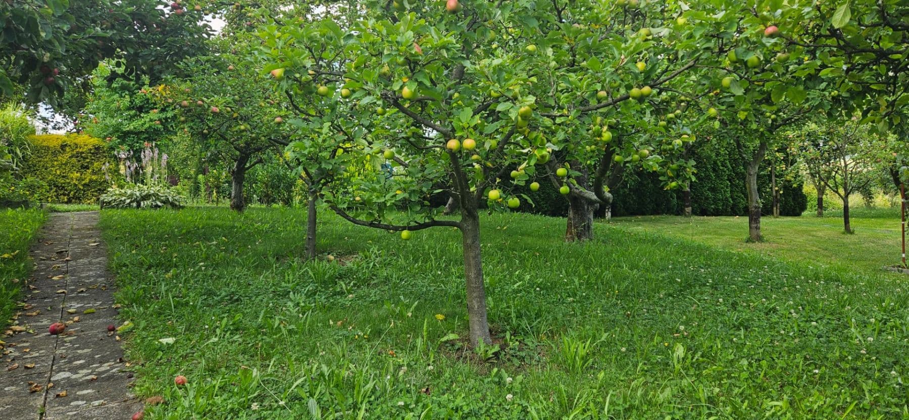 plot for sale, 300 m², Jaselská, Šenov u Nového Jičína, Moravskoslezský Region plot for sale, 300 m², Jaselská, Šenov u Nového Jičína, Moravskoslezský Region