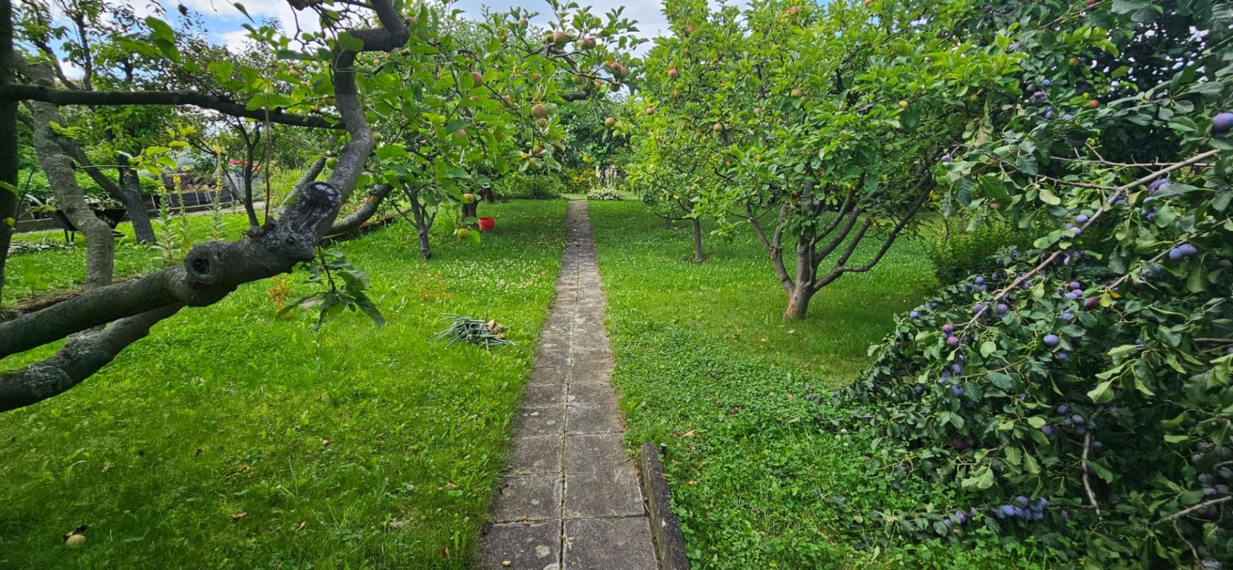 plot to rent, 300 m², Jaselská, Šenov u Nového Jičína, Moravskoslezský Region plot to rent, 300 m², Jaselská, Šenov u Nového Jičína, Moravskoslezský Region