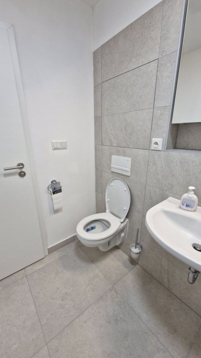 Studio flat to rent, 30 m², Auerswaldova, Brno, Jihomoravský Region Studio flat to rent, 30 m², Auerswaldova, Brno, Jihomoravský Region