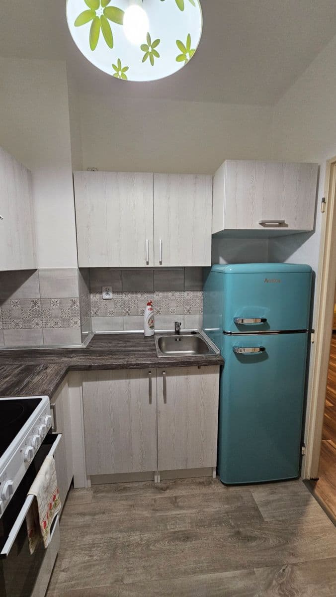 1 bedroom flat to rent, 37 m², V Rybníčkách, Prague, Prague 1 bedroom flat to rent, 37 m², V Rybníčkách, Prague, Prague