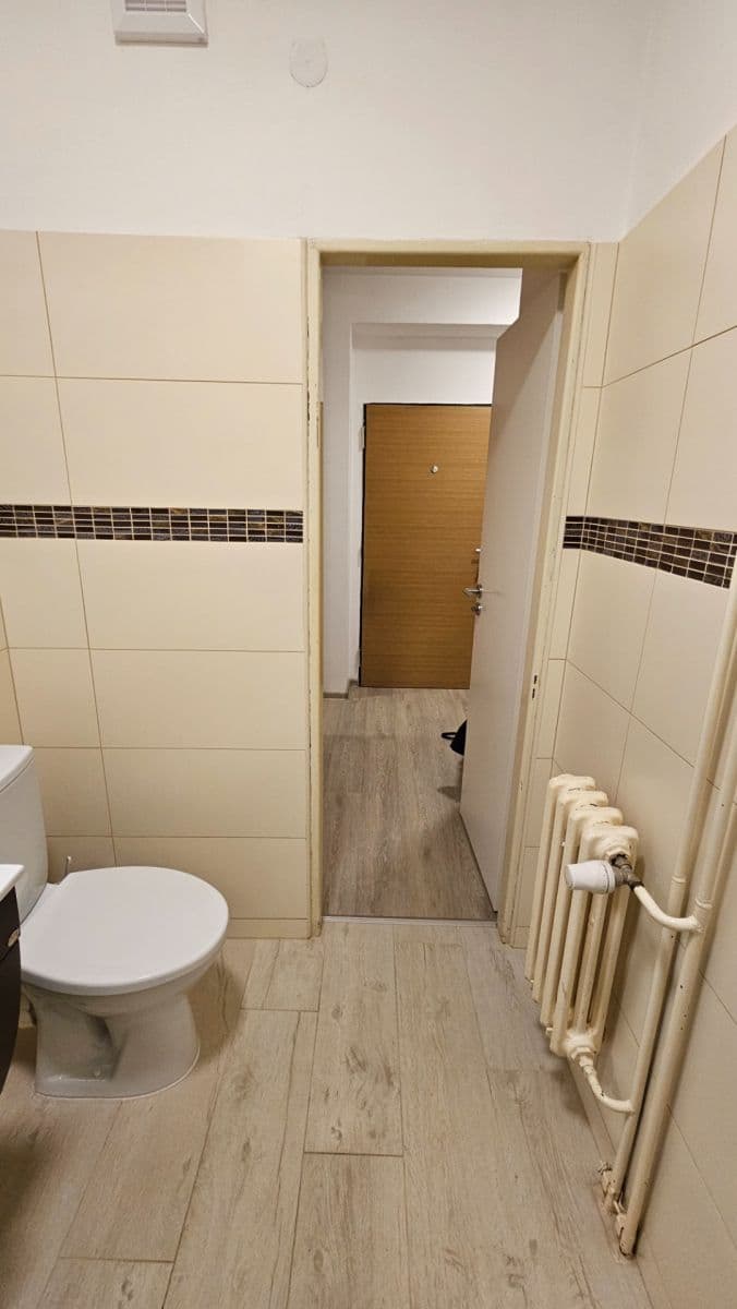 1 bedroom flat to rent, 37 m², V Rybníčkách, Prague, Prague 1 bedroom flat to rent, 37 m², V Rybníčkách, Prague, Prague