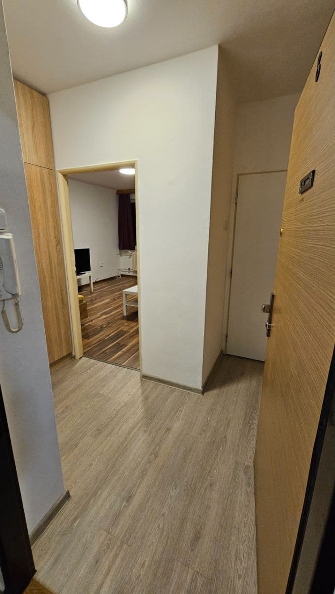 1 bedroom flat to rent, 37 m², V Rybníčkách, Prague, Prague 1 bedroom flat to rent, 37 m², V Rybníčkách, Prague, Prague