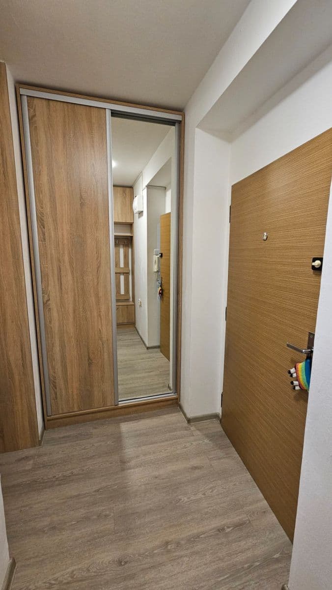 1 bedroom flat to rent, 37 m², V Rybníčkách, Prague, Prague 1 bedroom flat to rent, 37 m², V Rybníčkách, Prague, Prague