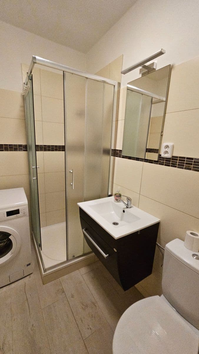 1 bedroom flat to rent, 37 m², V Rybníčkách, Prague, Prague 1 bedroom flat to rent, 37 m², V Rybníčkách, Prague, Prague