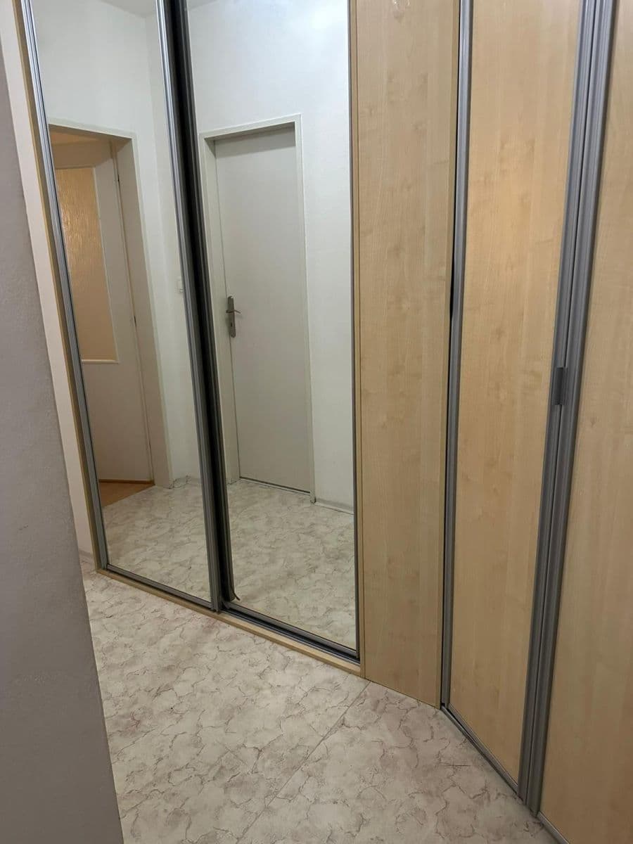 1 bedroom with open-plan kitchen flat to rent, 50 m², Hnězdenská, Prague, Prague 1 bedroom with open-plan kitchen flat to rent, 50 m², Hnězdenská, Prague, Prague