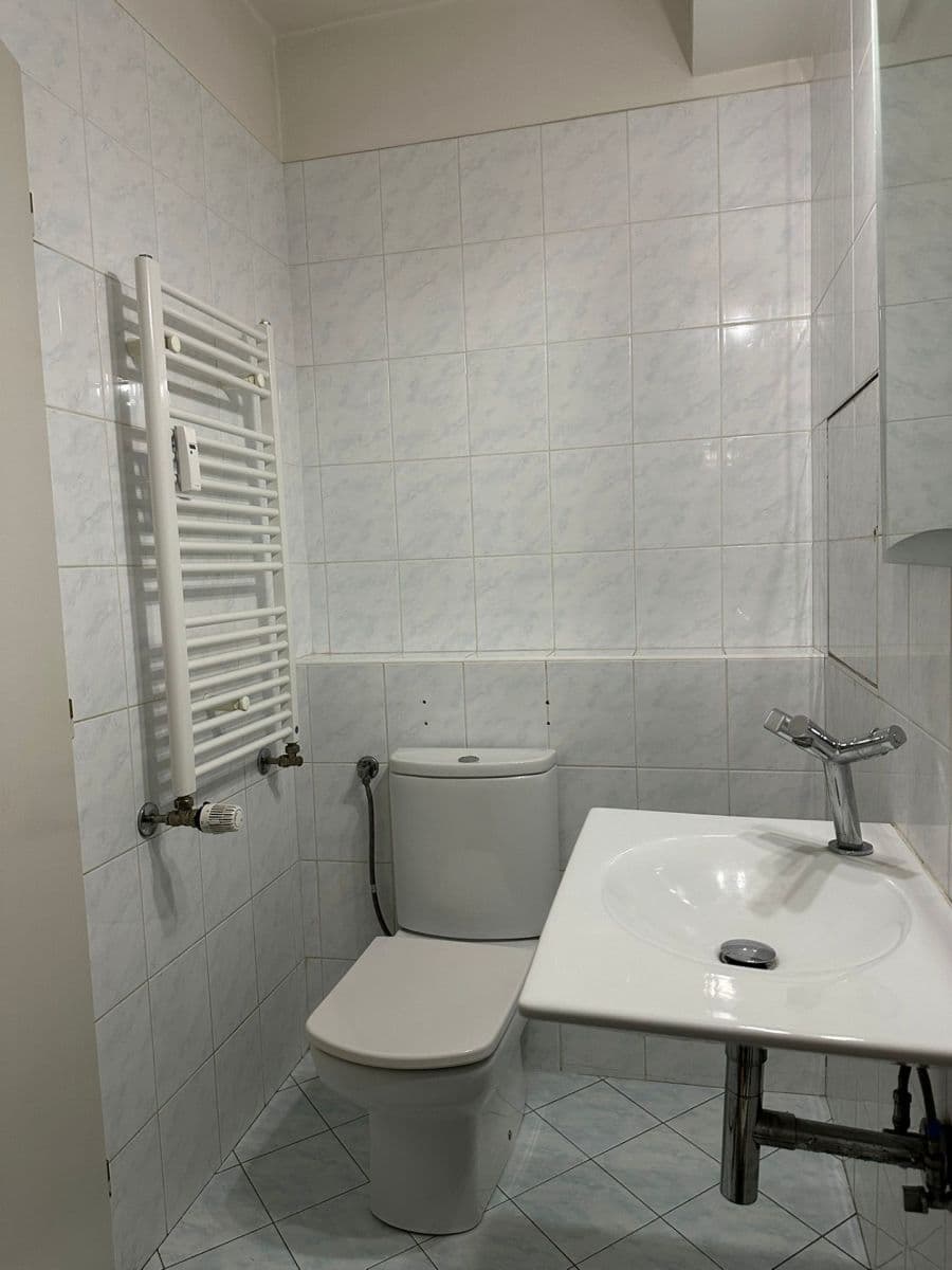 1 bedroom with open-plan kitchen flat to rent, 50 m², Hnězdenská, Prague, Prague 1 bedroom with open-plan kitchen flat to rent, 50 m², Hnězdenská, Prague, Prague