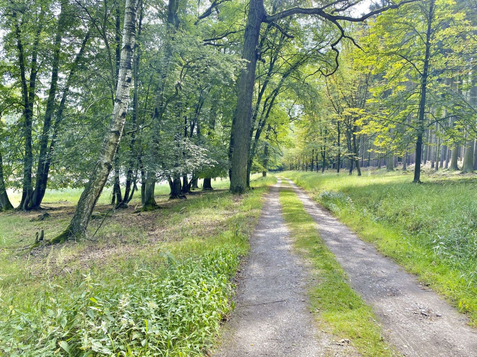 3 bedroom flat for sale, 90 m², Jabkenice, Středočeský Region 3 bedroom flat for sale, 90 m², Jabkenice, Středočeský Region