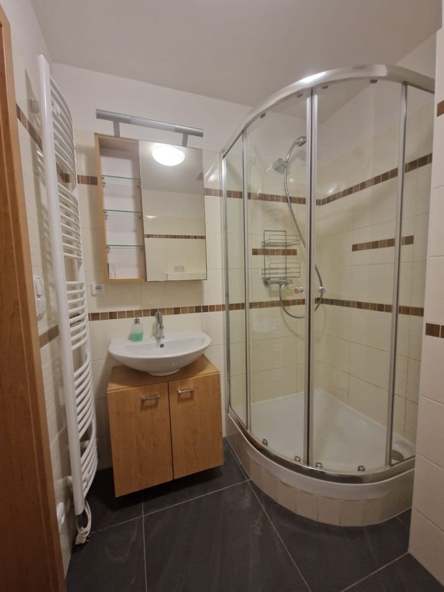 1 bedroom with open-plan kitchen flat to rent, 53 m², Michelangelova, Prague, Prague 1 bedroom with open-plan kitchen flat to rent, 53 m², Michelangelova, Prague, Prague