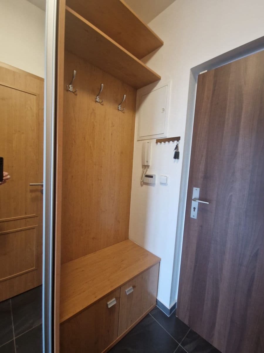 1 bedroom with open-plan kitchen flat to rent, 53 m², Michelangelova, Prague, Prague 1 bedroom with open-plan kitchen flat to rent, 53 m², Michelangelova, Prague, Prague