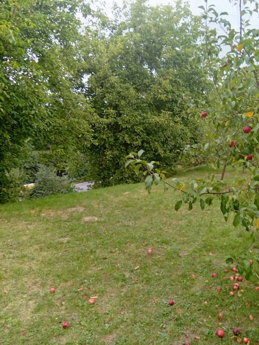 plot for sale, 1,400 m², Na Odboji, Březnice, Středočeský Region plot for sale, 1,400 m², Na Odboji, Březnice, Středočeský Region