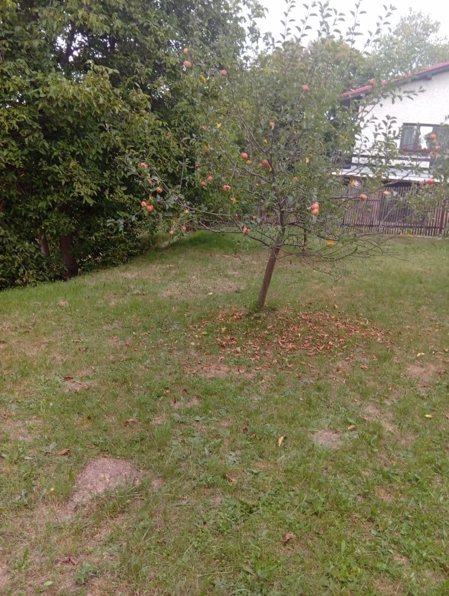 plot for sale, 1,400 m², Na Odboji, Březnice, Středočeský Region plot for sale, 1,400 m², Na Odboji, Březnice, Středočeský Region