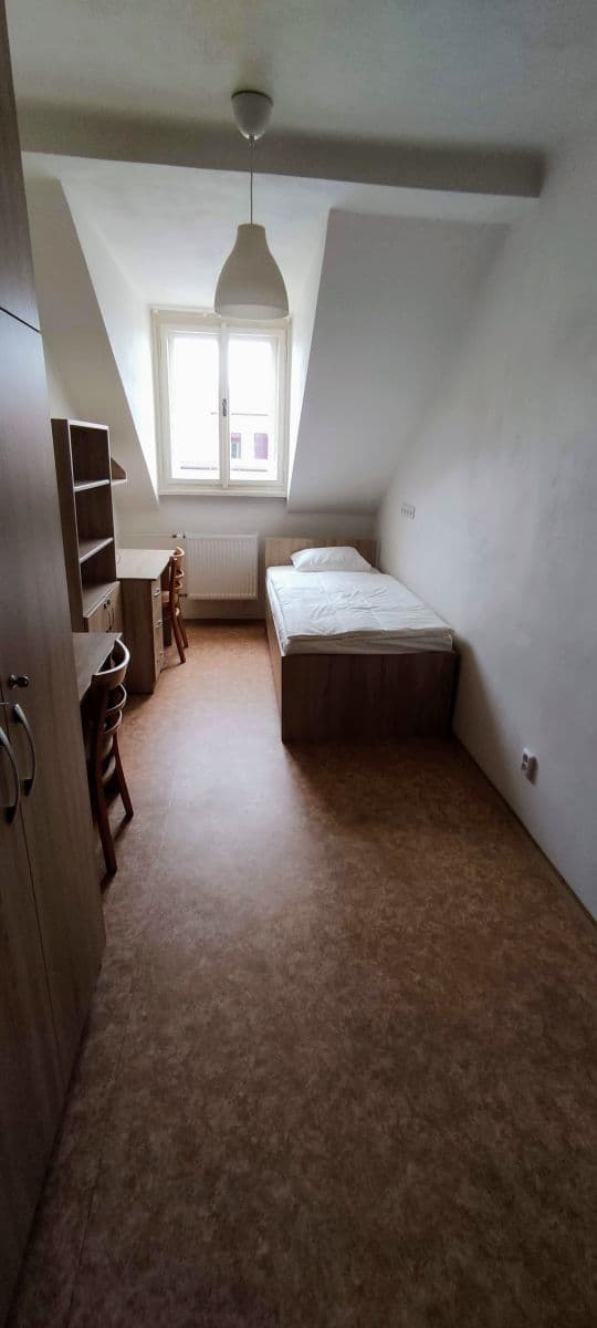 flat to rent, 300 m², Lublaňská, Prague, Prague flat to rent, 300 m², Lublaňská, Prague, Prague