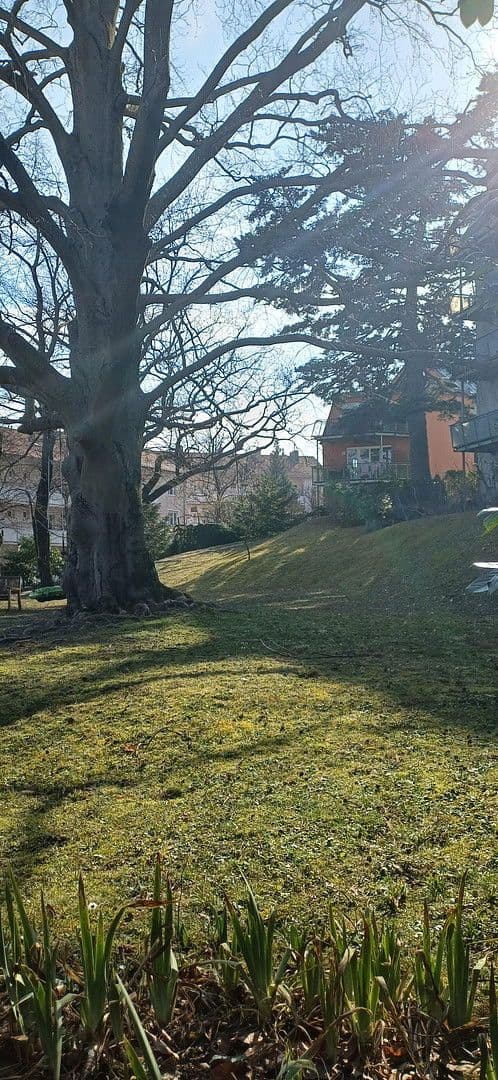 4 bedroom flat for sale, 112 m², An der Goldenen Stiege, Mödling, Lower Austria 4 bedroom flat for sale, 112 m², An der Goldenen Stiege, Mödling, Lower Austria