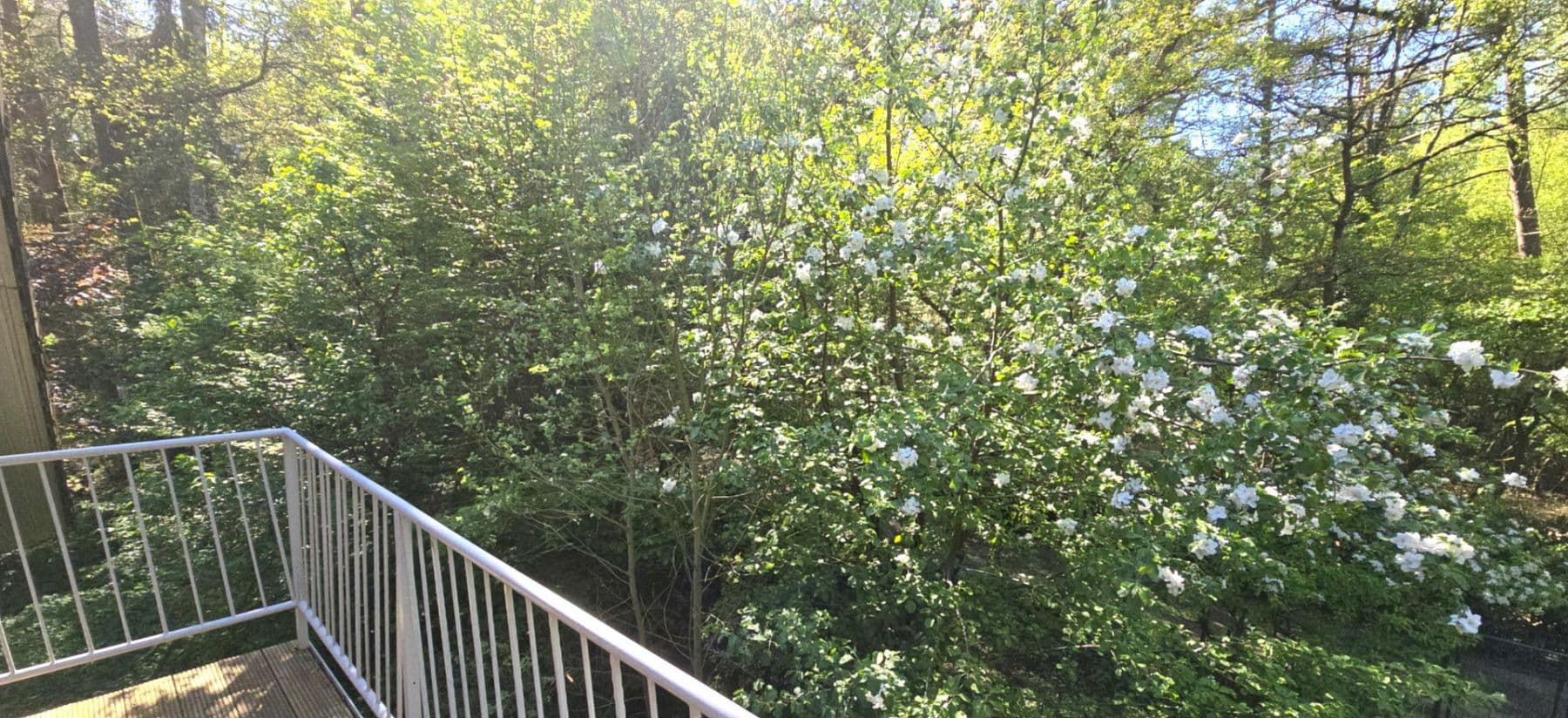 house for sale, 420 m², Wennerstorfer Kirchweg, Wenzendorf, Lower Saxony house for sale, 420 m², Wennerstorfer Kirchweg, Wenzendorf, Lower Saxony