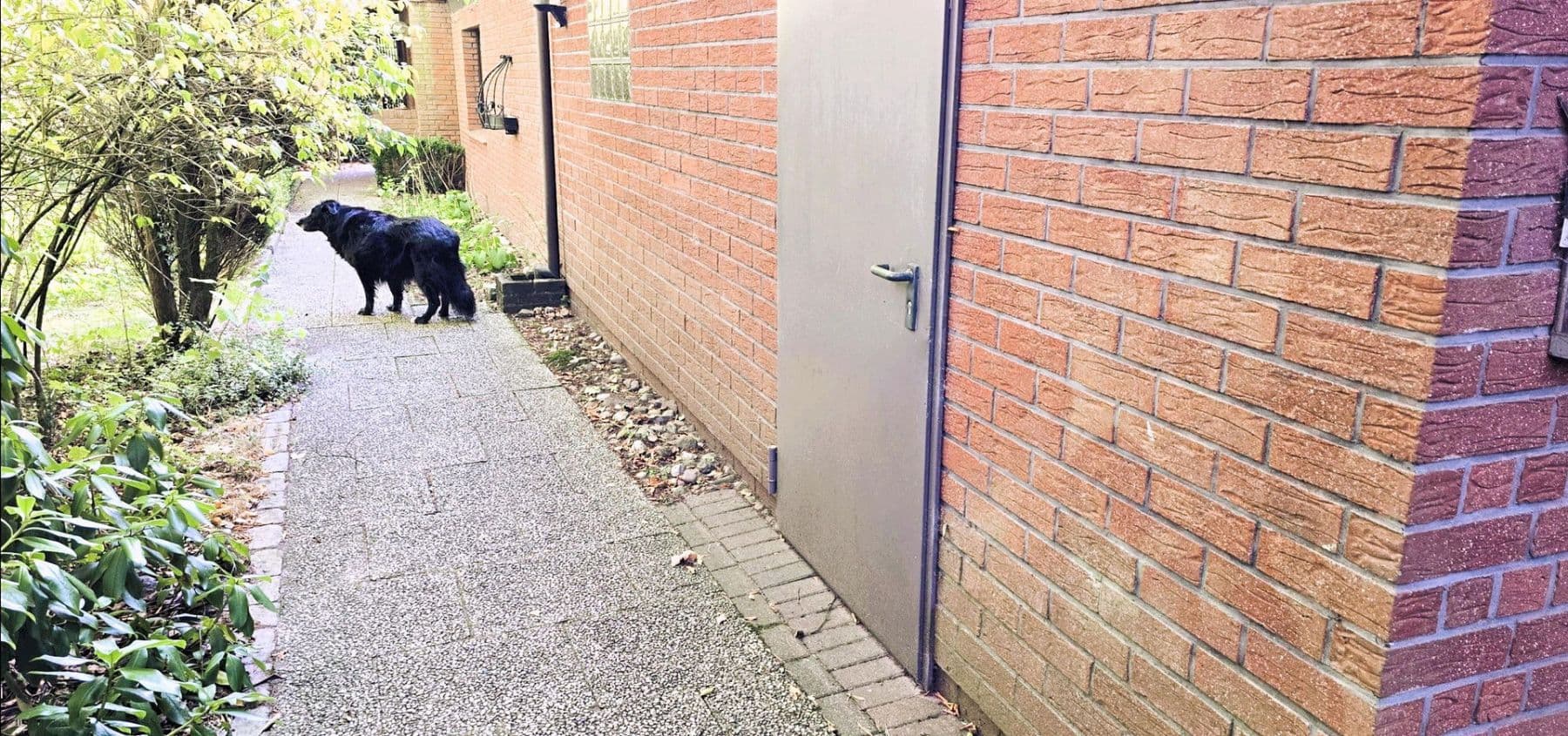 house for sale, 420 m², Wennerstorfer Kirchweg, Wenzendorf, Lower Saxony house for sale, 420 m², Wennerstorfer Kirchweg, Wenzendorf, Lower Saxony