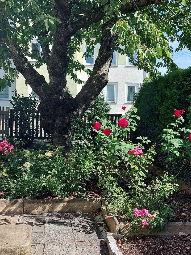 house for sale, 247 m², Mühlau, Saxony house for sale, 247 m², Mühlau, Saxony