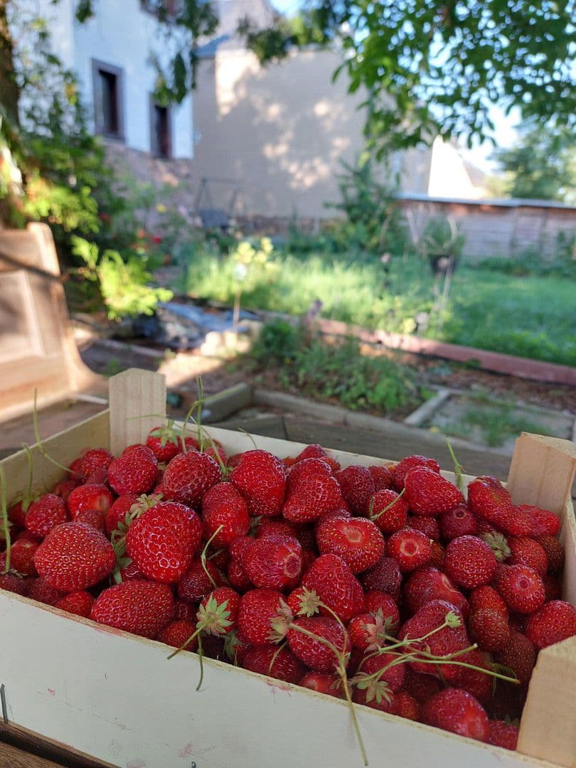 house for sale, 247 m², Mühlau, Saxony house for sale, 247 m², Mühlau, Saxony