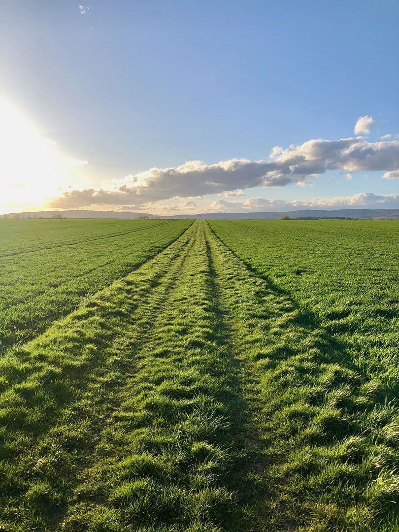 house for sale, 139 m², Rotkehlchenweg 134, Wiesbaden-Nordenstadt, Hesse house for sale, 139 m², Rotkehlchenweg 134, Wiesbaden-Nordenstadt, Hesse