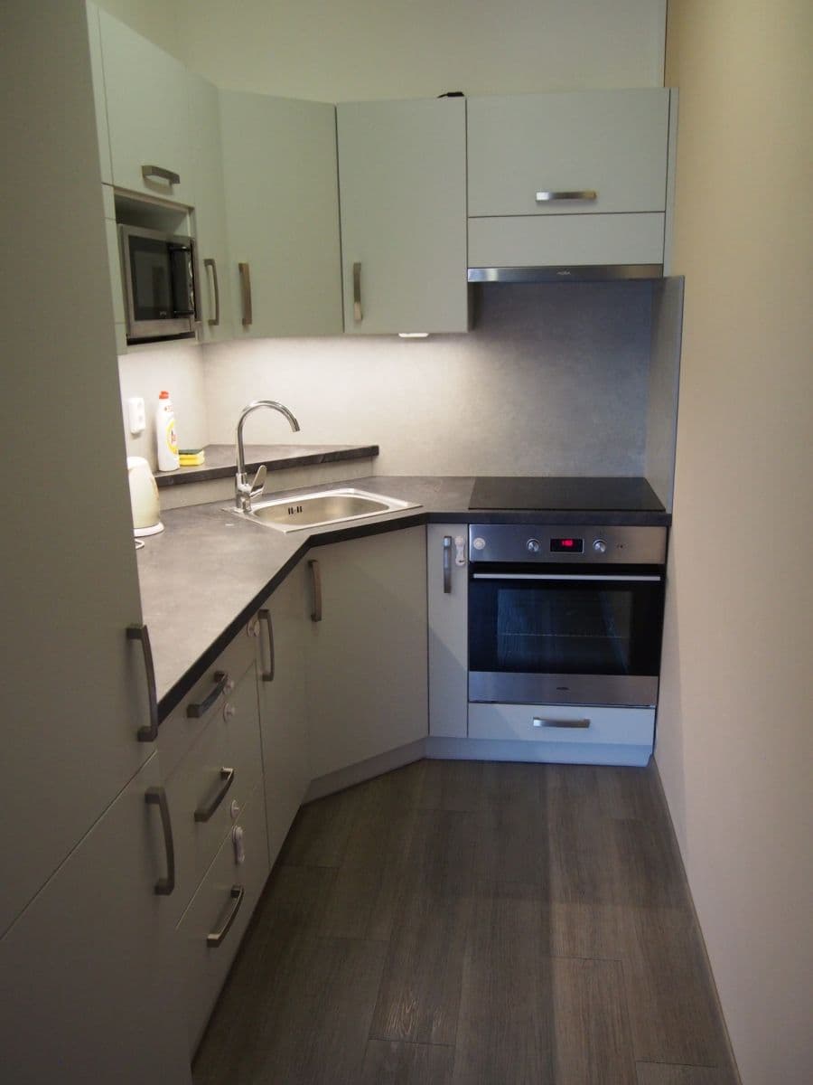 1 bedroom with open-plan kitchen flat to rent, 52 m², Labská, Brno, Jihomoravský Region 1 bedroom with open-plan kitchen flat to rent, 52 m², Labská, Brno, Jihomoravský Region