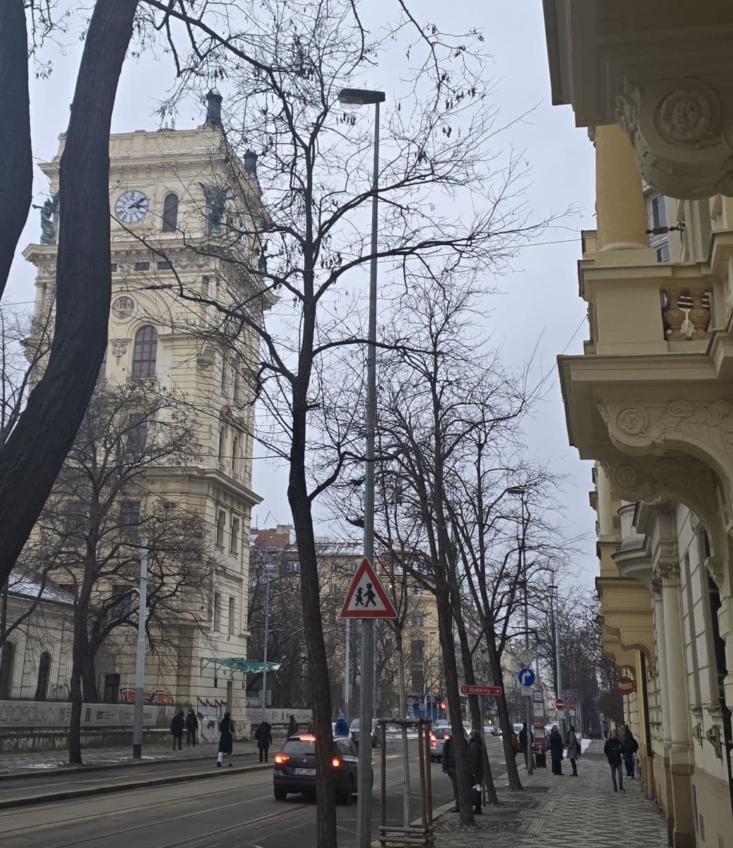 flat to rent, 32 m², Korunní, Prague, Prague flat to rent, 32 m², Korunní, Prague, Prague