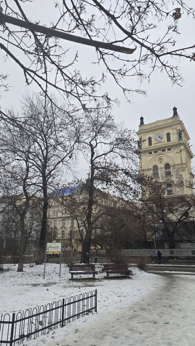 flat to rent, 32 m², Korunní, Prague, Prague flat to rent, 32 m², Korunní, Prague, Prague