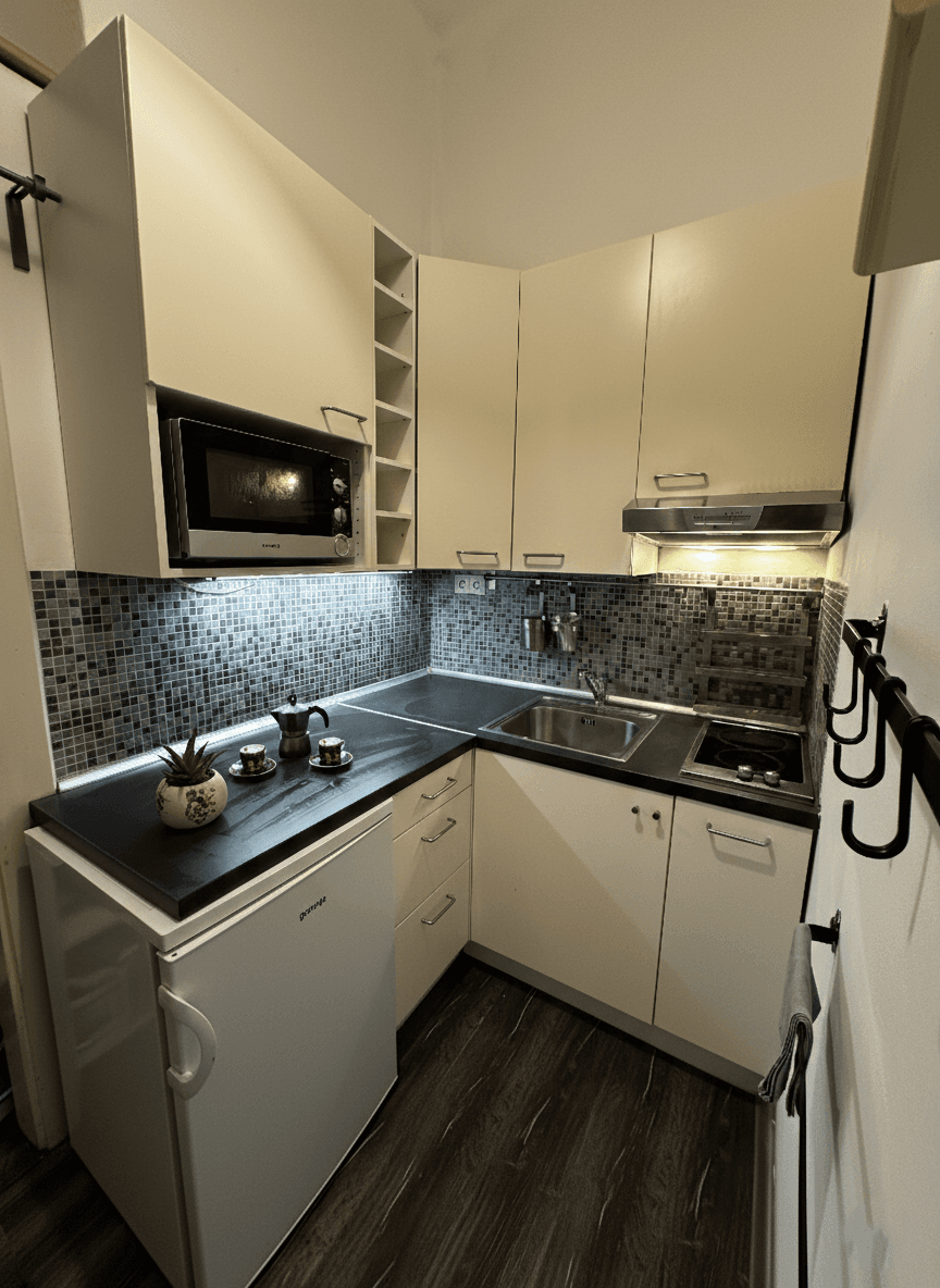 1 bedroom with open-plan kitchen flat for sale, 40 m², Vrchlického, Prague, Prague 1 bedroom with open-plan kitchen flat for sale, 40 m², Vrchlického, Prague, Prague