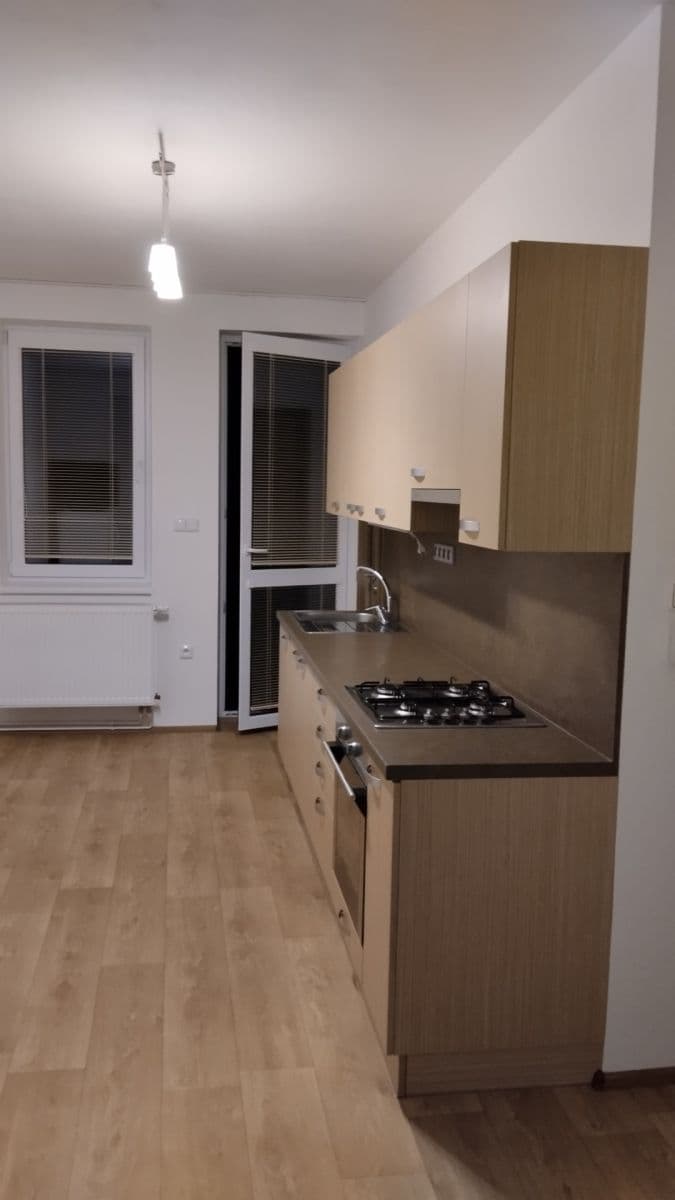 1 bedroom flat to rent, 40 m², Brahmsova, Letovice, Jihomoravský Region 1 bedroom flat to rent, 40 m², Brahmsova, Letovice, Jihomoravský Region