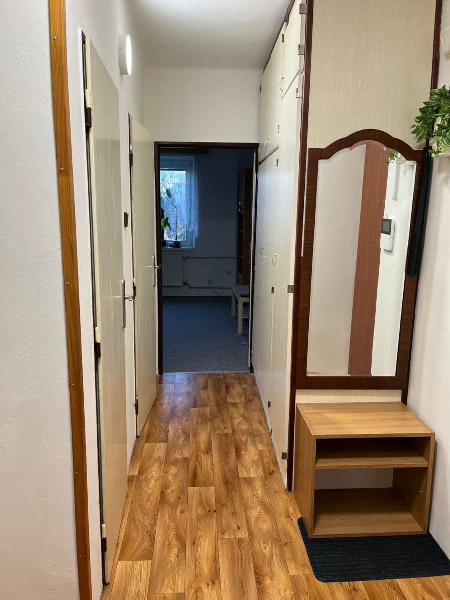 2 bedroom with open-plan kitchen flat to rent, 54 m², Hlavní, Prague, Prague 2 bedroom with open-plan kitchen flat to rent, 54 m², Hlavní, Prague, Prague