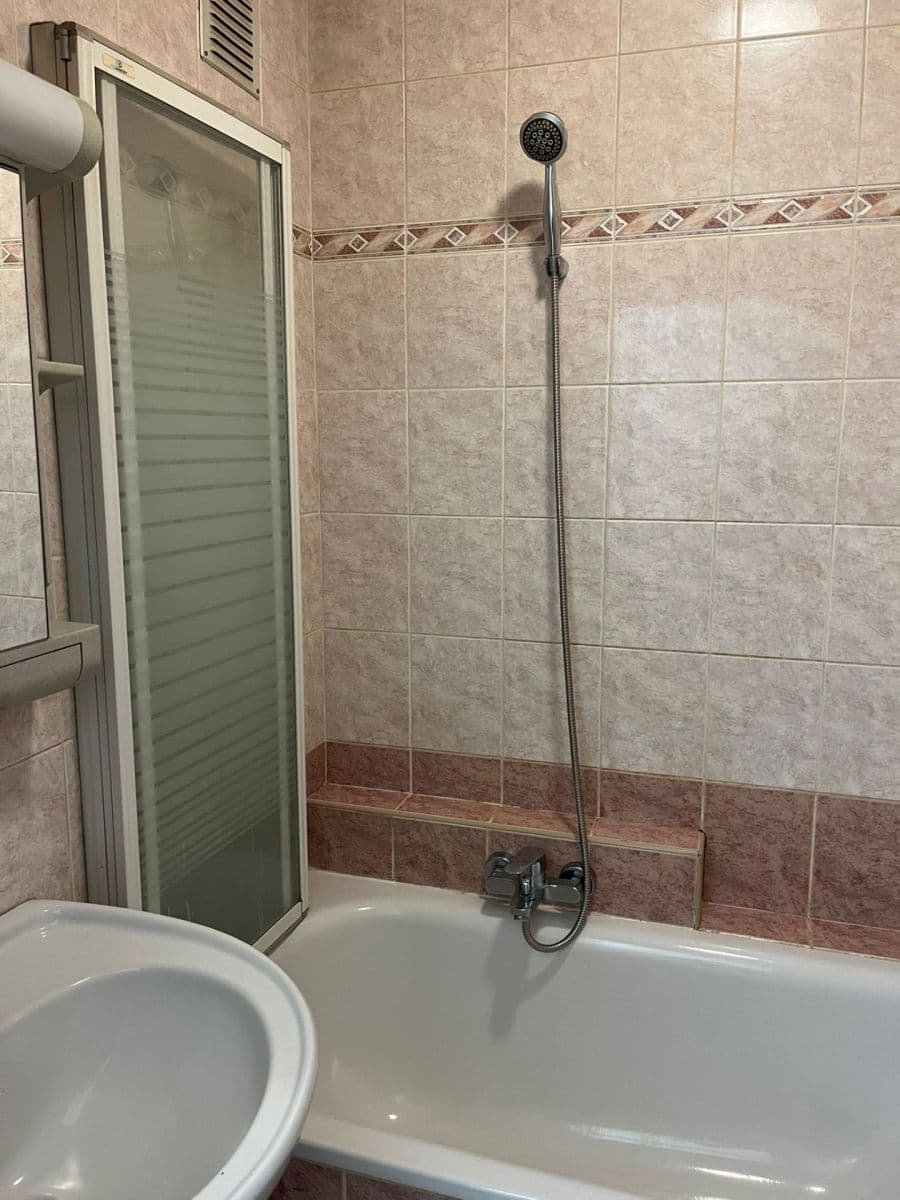 2 bedroom with open-plan kitchen flat to rent, 54 m², Hlavní, Prague, Prague 2 bedroom with open-plan kitchen flat to rent, 54 m², Hlavní, Prague, Prague