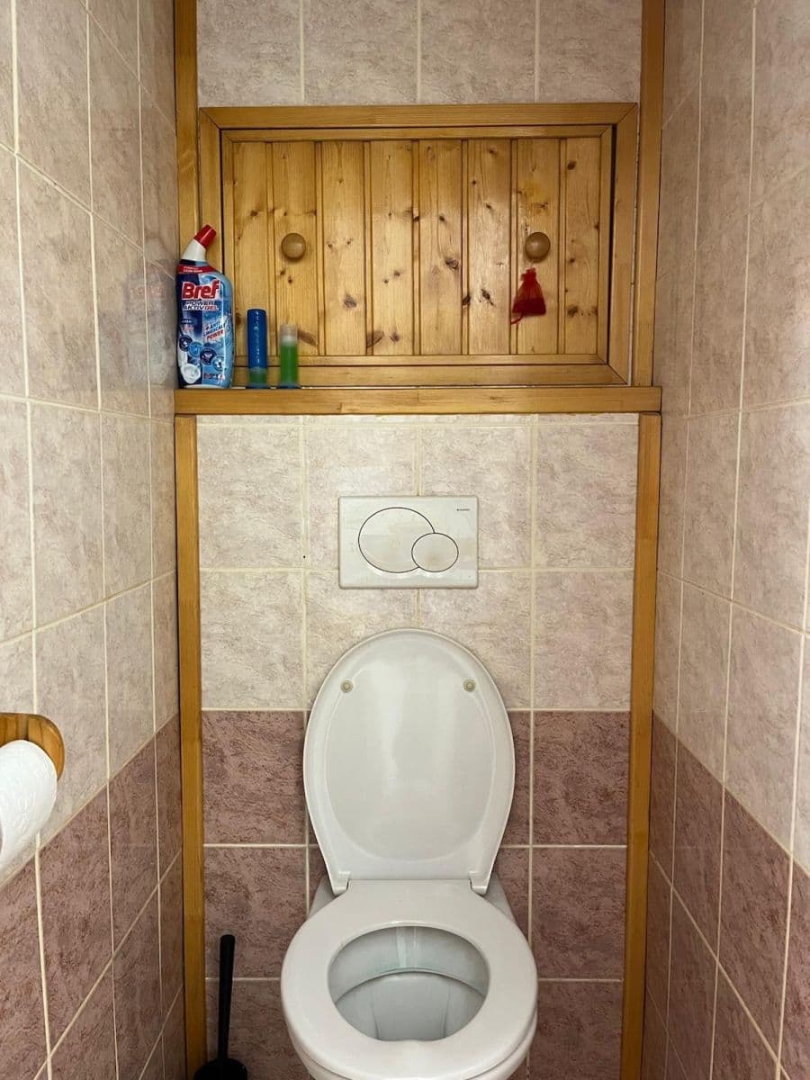 2 bedroom with open-plan kitchen flat to rent, 54 m², Hlavní, Prague, Prague 2 bedroom with open-plan kitchen flat to rent, 54 m², Hlavní, Prague, Prague